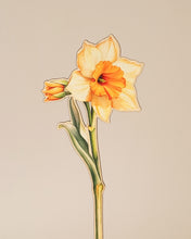 Заредете изображение във визуализатора на галерията – Дървено цвете | Нарцис