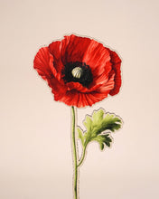 Заредете изображение във визуализатора на галерията – Дървено цвете | Червен Мак