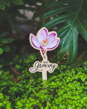 Заредете изображение във визуализатора на галерията – Мотивираща мисъл с цвете за саксия