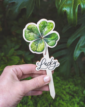 Заредете изображение във визуализатора на галерията – Късметлийска детелинка за саксия