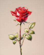 Заредете изображение във визуализатора на галерията – Дървено цвете | Червена Роза