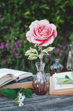 Заредете изображение във визуализатора на галерията – Дървено цвете | Роза