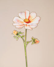 Заредете изображение във визуализатора на галерията – Дървено цвете | Космос