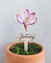 Заредете изображение във визуализатора на галерията – Мотивираща мисъл с цвете за саксия
