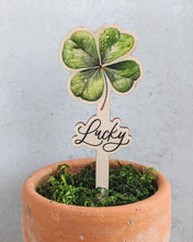 Заредете изображение във визуализатора на галерията – Късметлийска детелинка за саксия